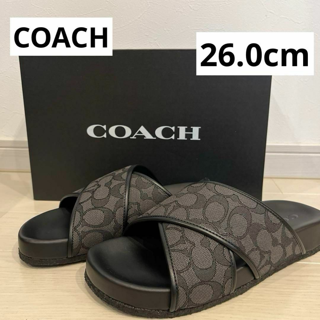 コーチ(COACH) 最新作 シグネチャー サンダル サイズ