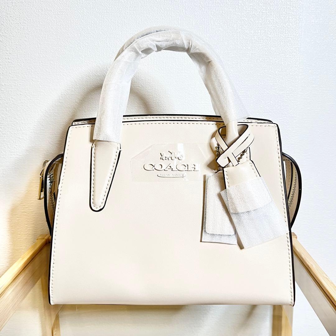 コーチ(COACH) 最新作 アシュレイ レザー ラージ リストレット ポーチ